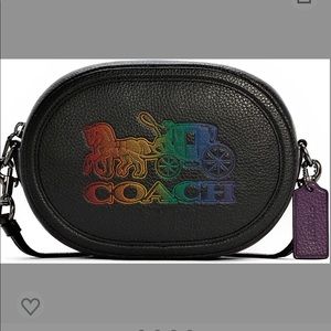 Camera Bag with horse and carriage